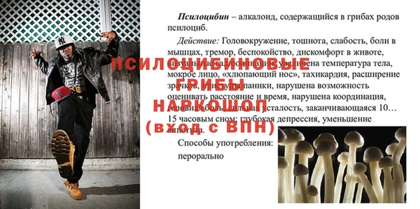ГАЛЛЮЦИНОГЕННЫЕ ГРИБЫ Новокубанск