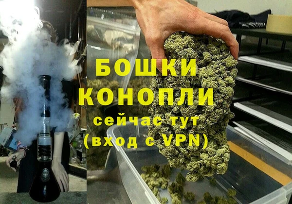 ГАЛЛЮЦИНОГЕННЫЕ ГРИБЫ Новокубанск