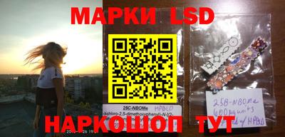 индика Гатчина