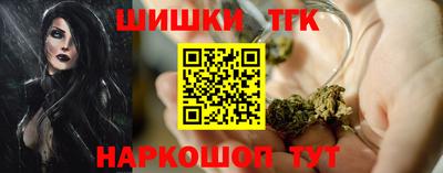 индика Гатчина