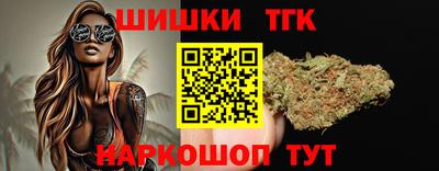 индика Гатчина