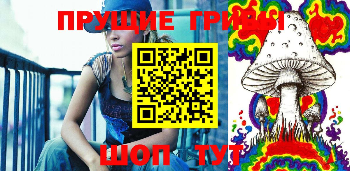 Галлюциногенные грибы Psilocybe Ейск